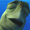 nemo2.gif