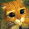 sherk1.gif